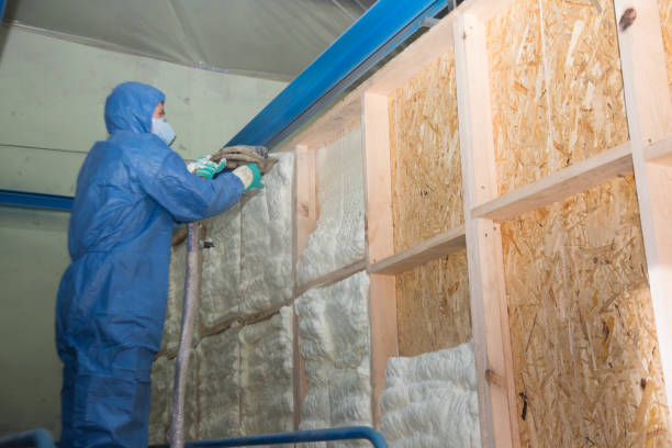 Best Insulation Inspection Services  in Port Barrington, IL
